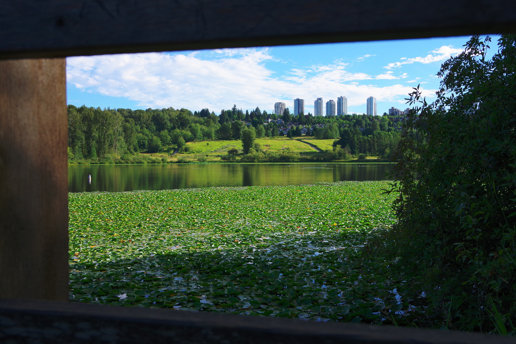 Am Deer Lake Am Deer Lake