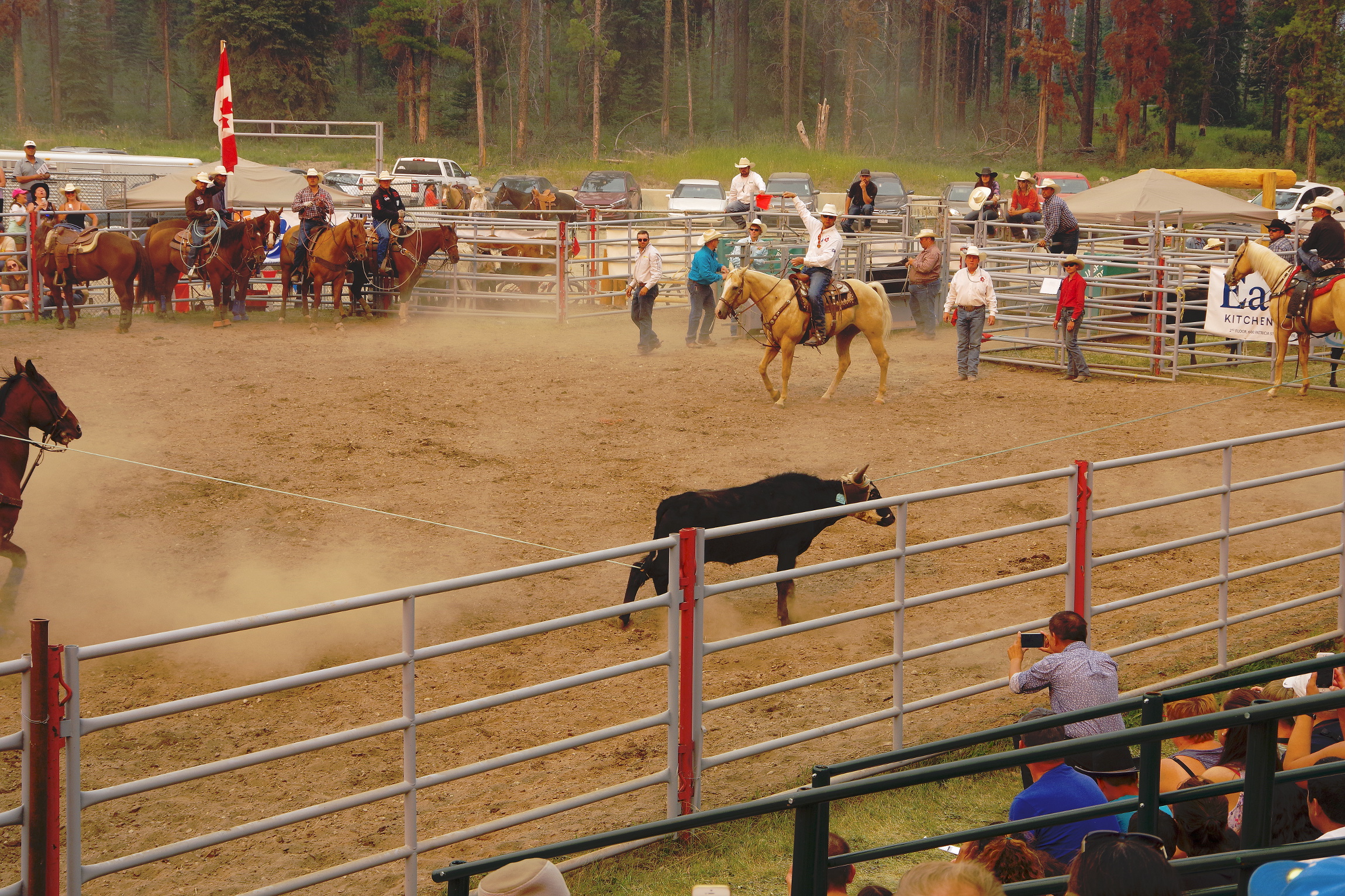 Rodeo - Team tie down