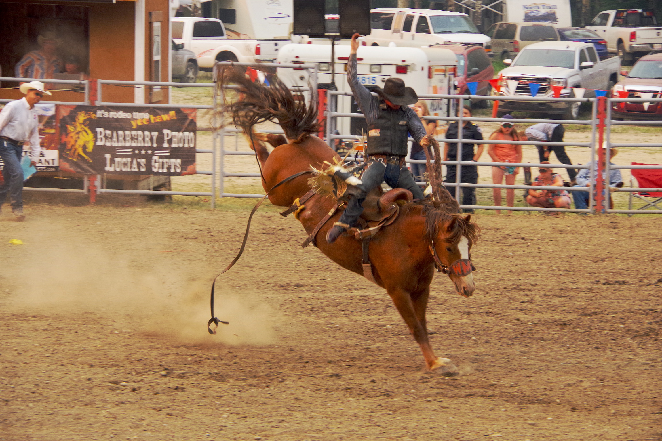 Rodeo - Bronc