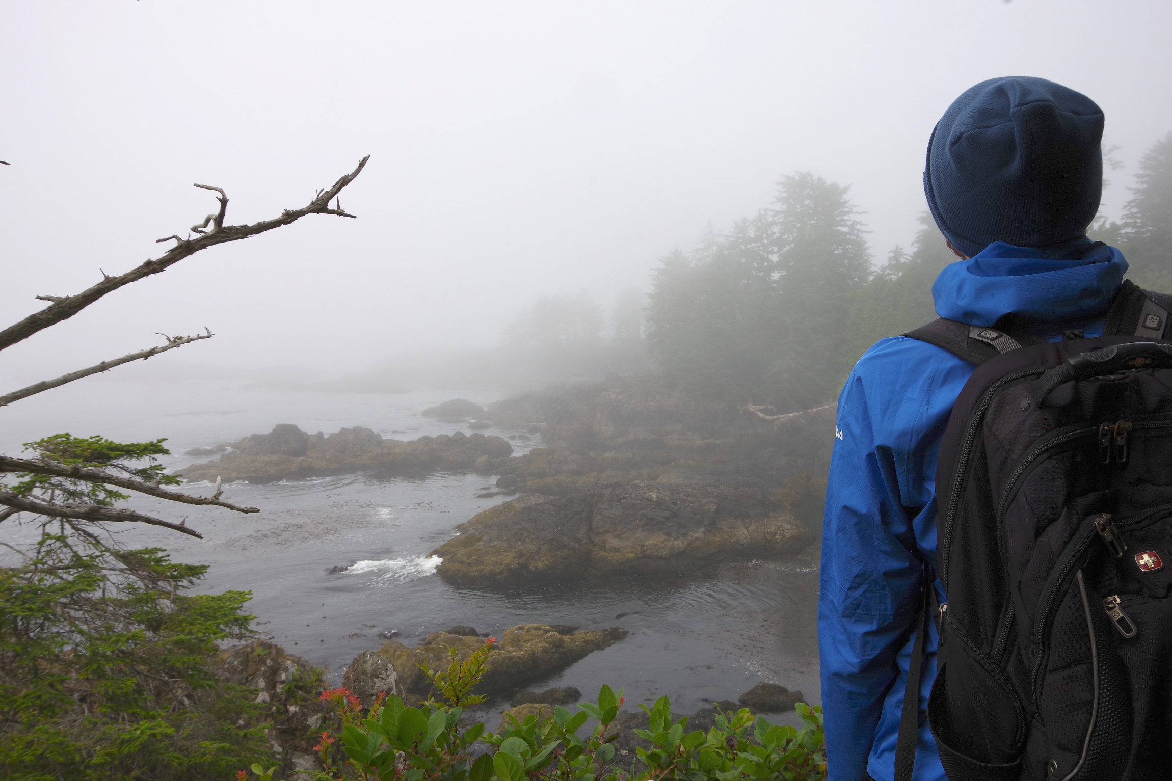 Wild Pacific Trails Wild Pacific Trails