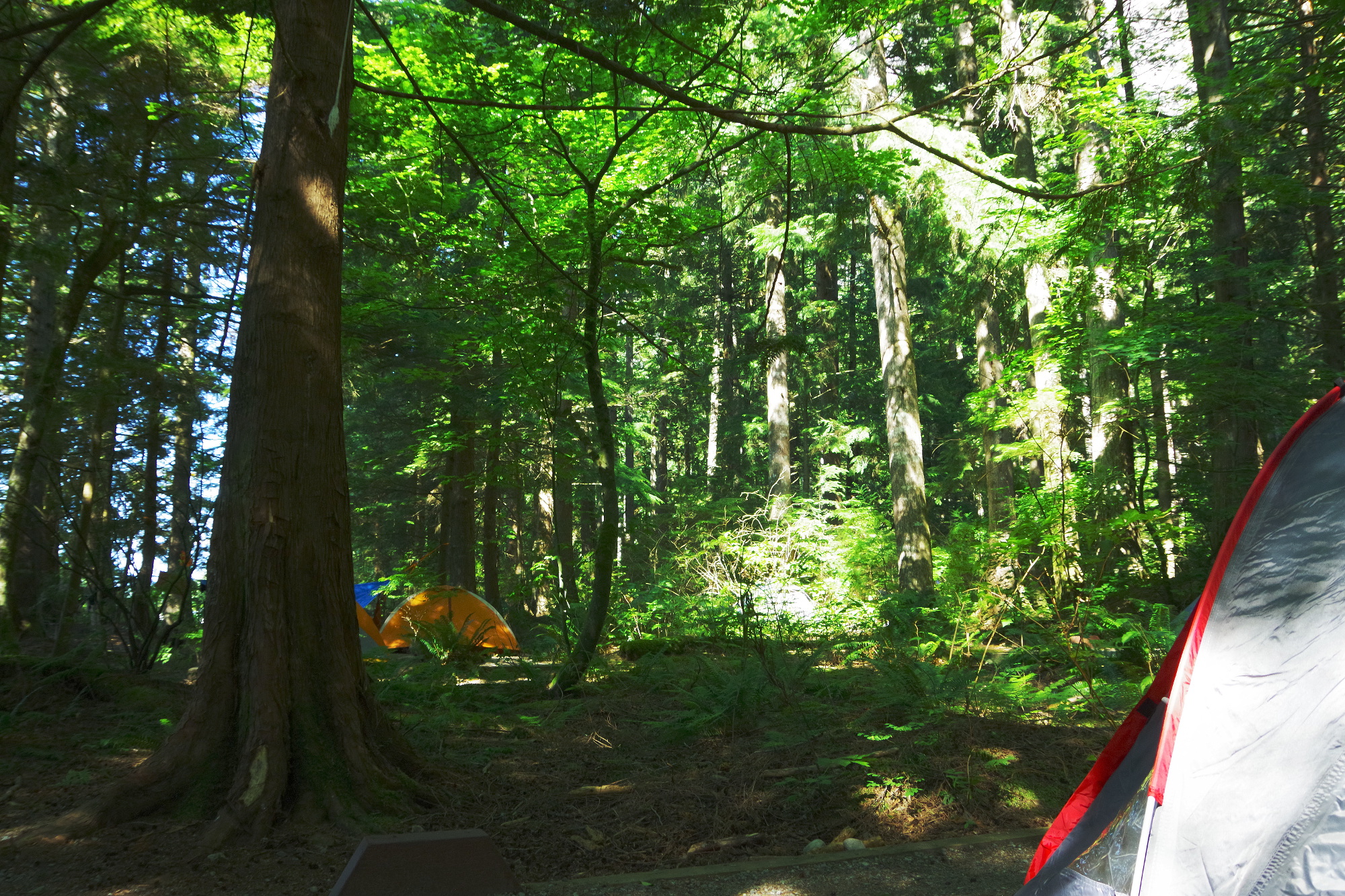 Stawamus Campground