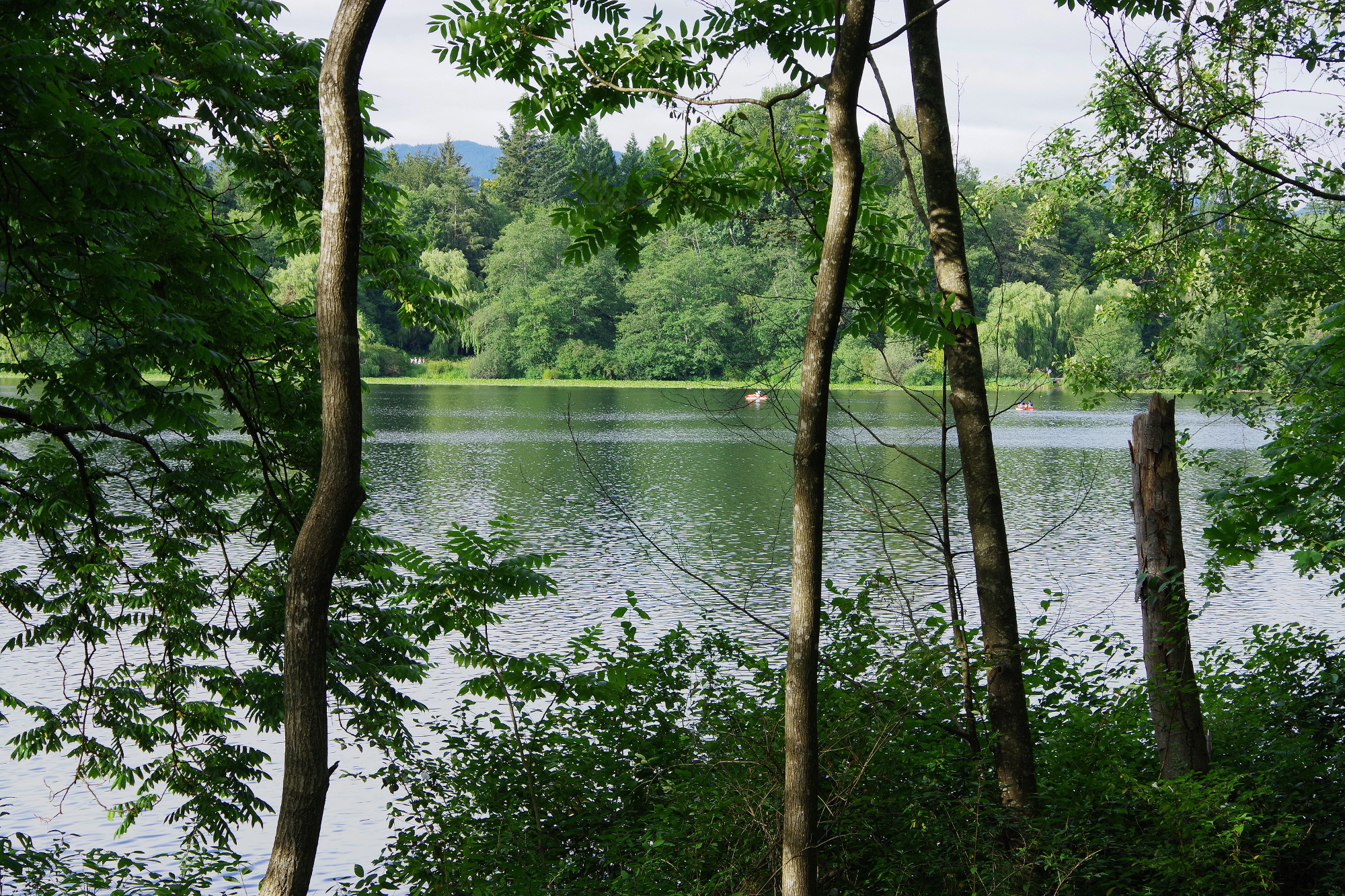 Am Deer Lake Am Deer Lake