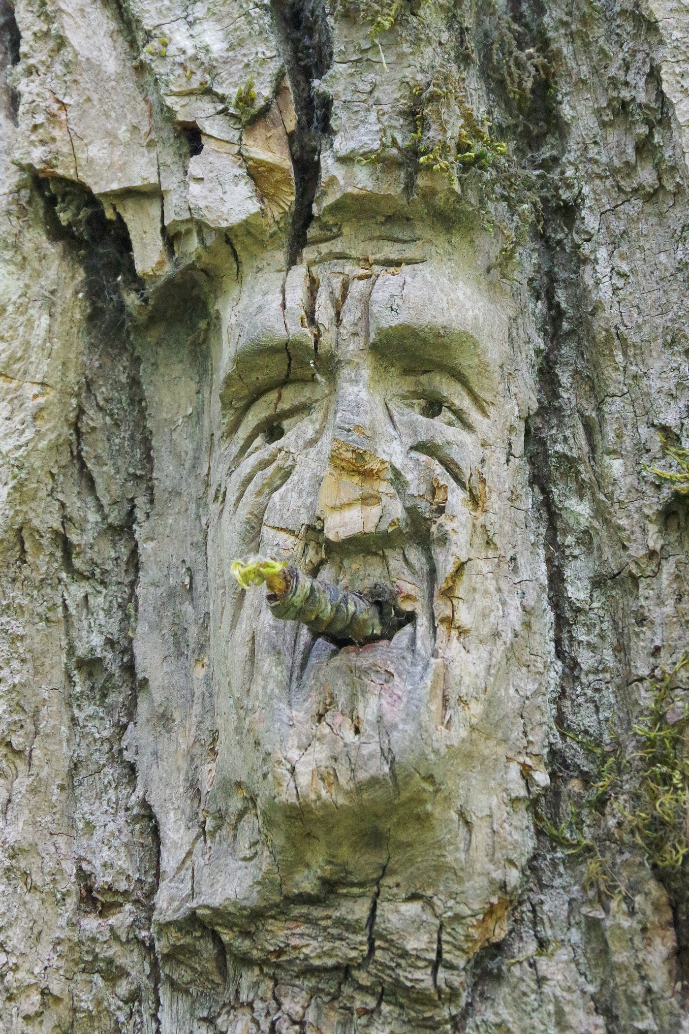 Wanderung auf Ferry Island - Gesichter