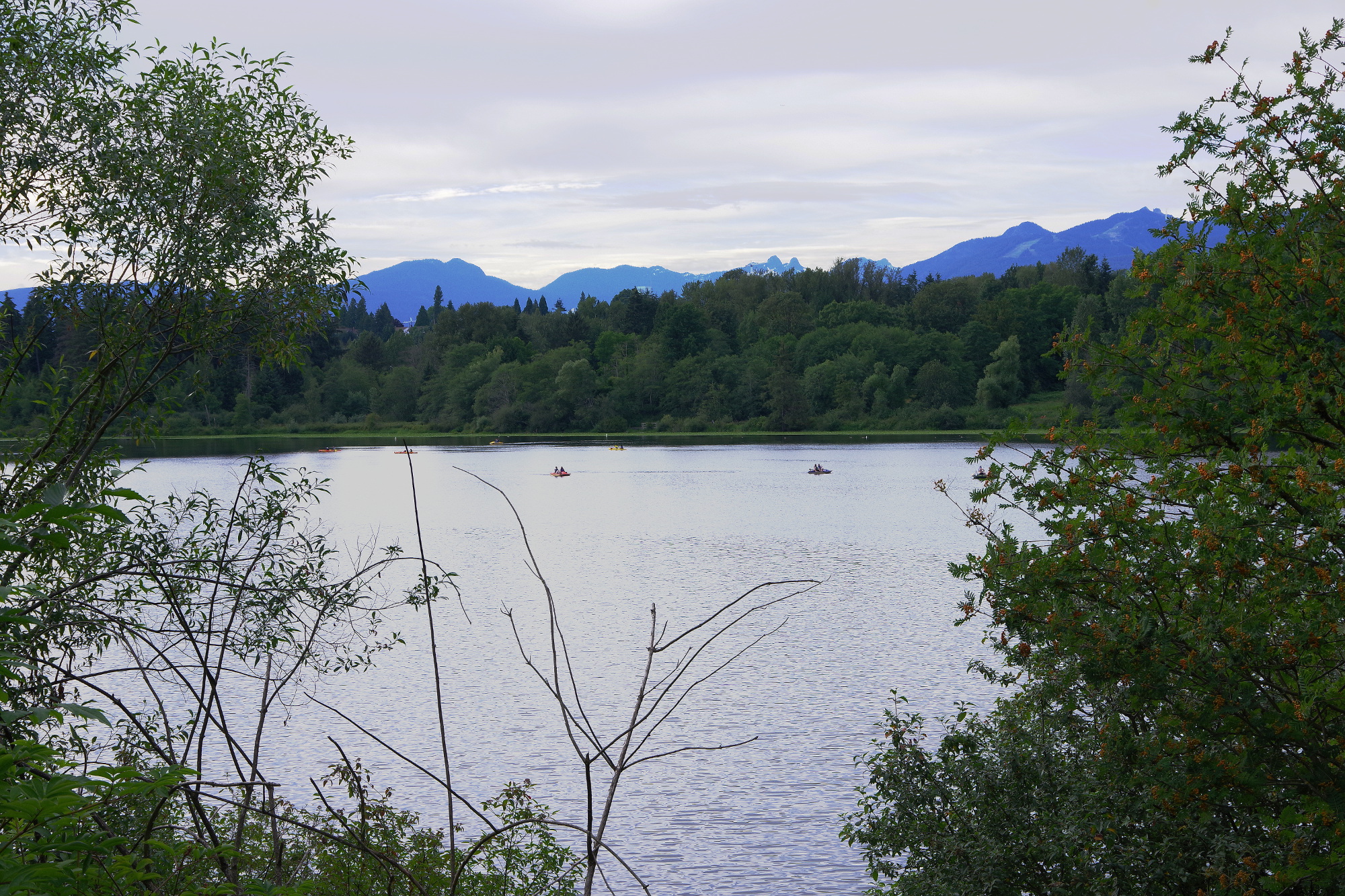 Am Deer Lake Am Deer Lake