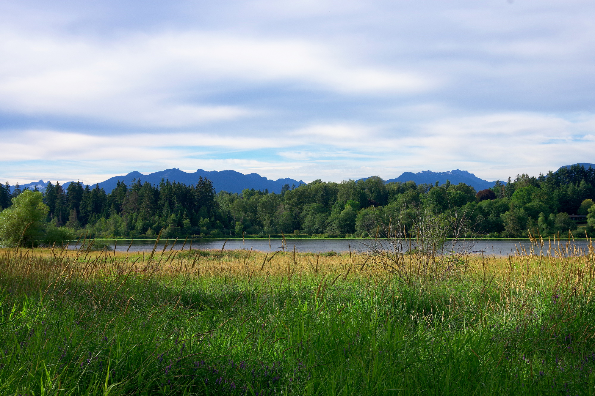 Am Deer Lake Am Deer Lake