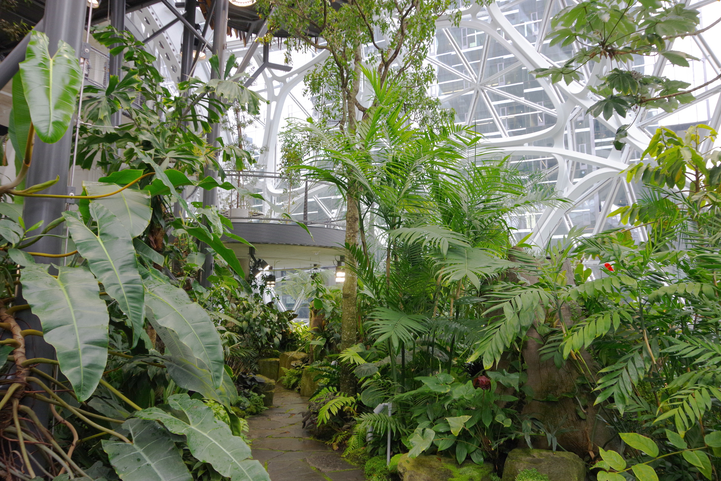 Amazon Spheres Amazon Spheres