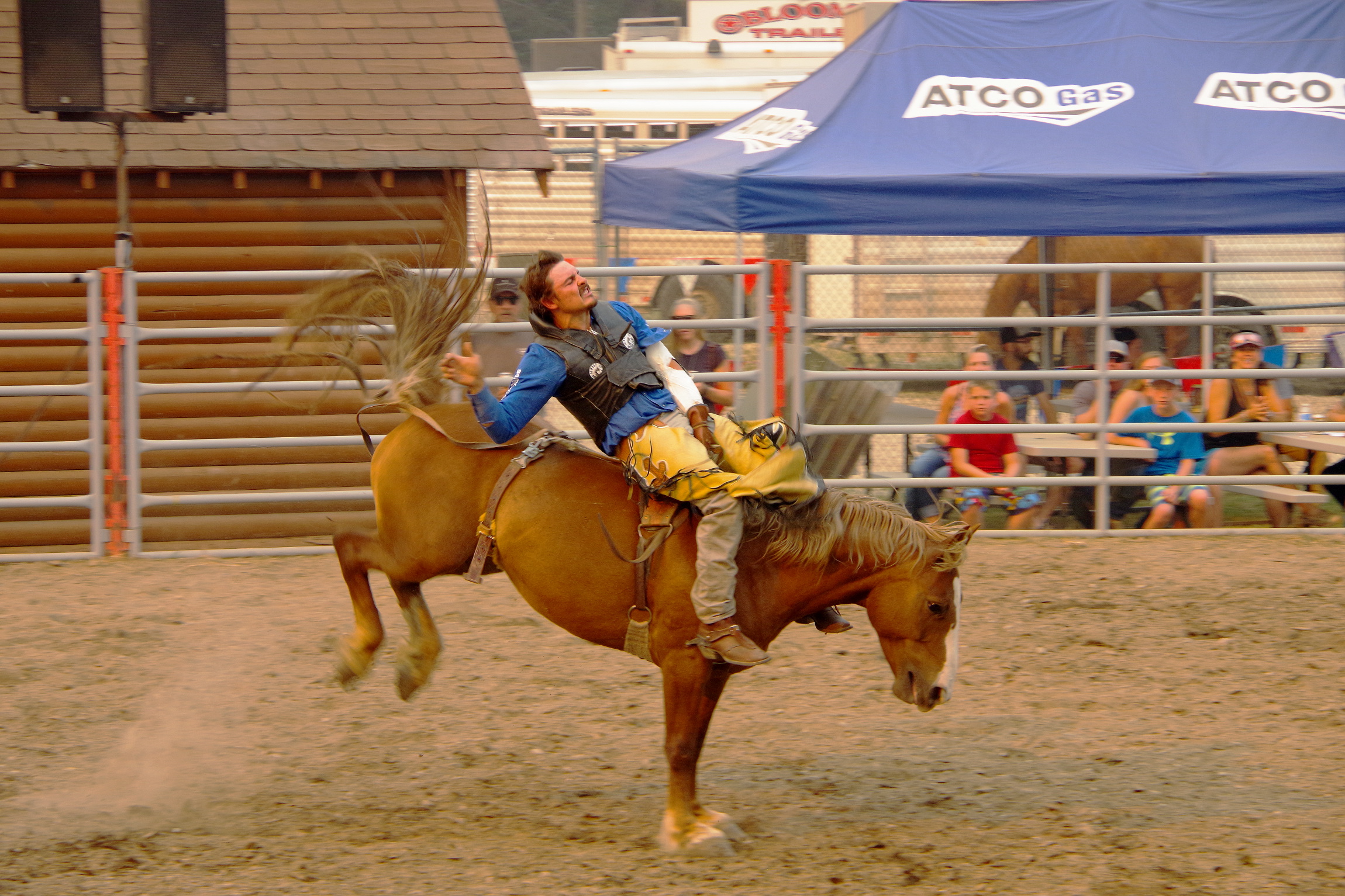 Rodeo - Bareback