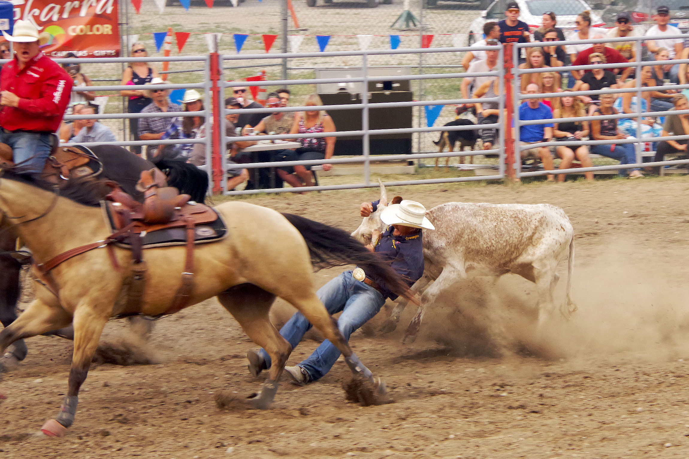 Rodeo - Steer wrestling